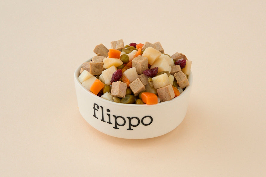 Cuenco grande de comida natural cocida para perro Flippo