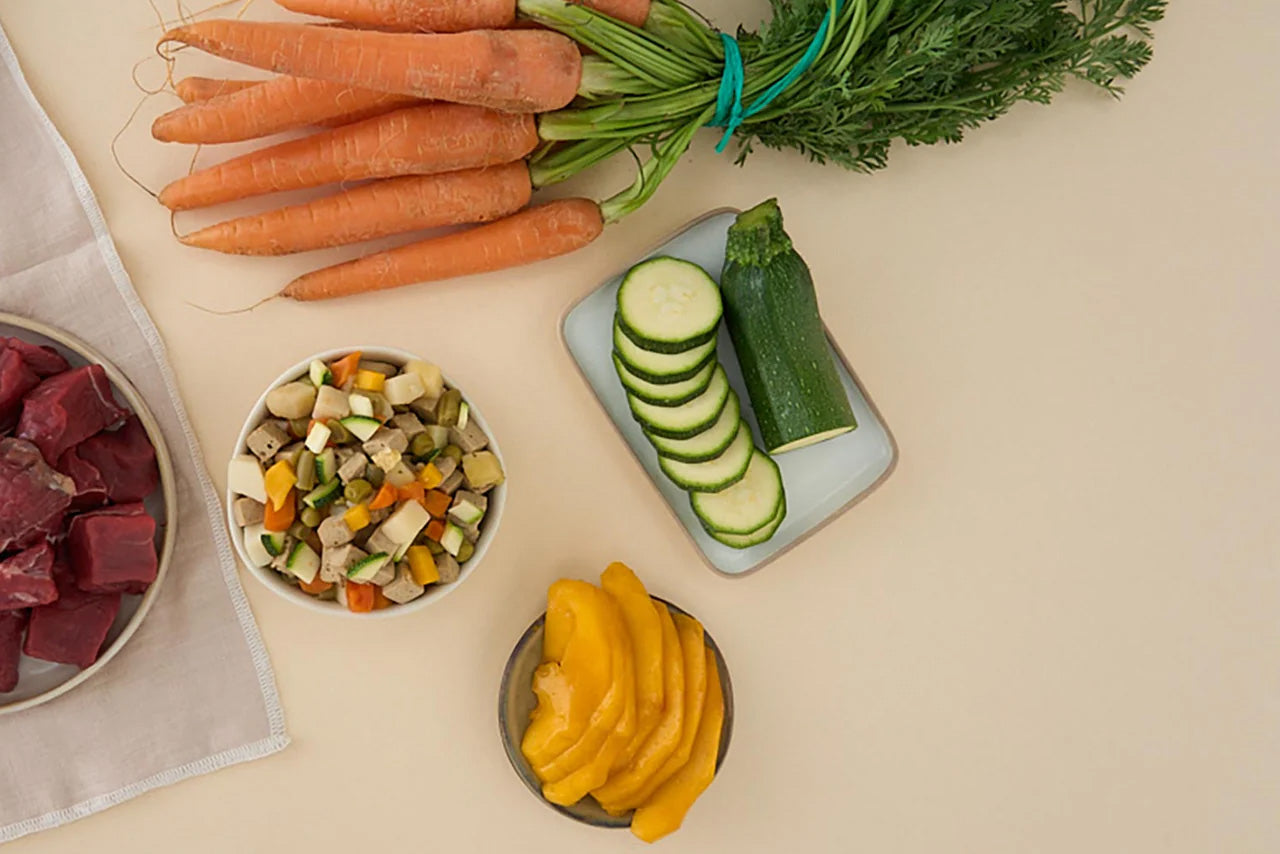 ingredientes frescos para hacer una receta de comida natural para perros