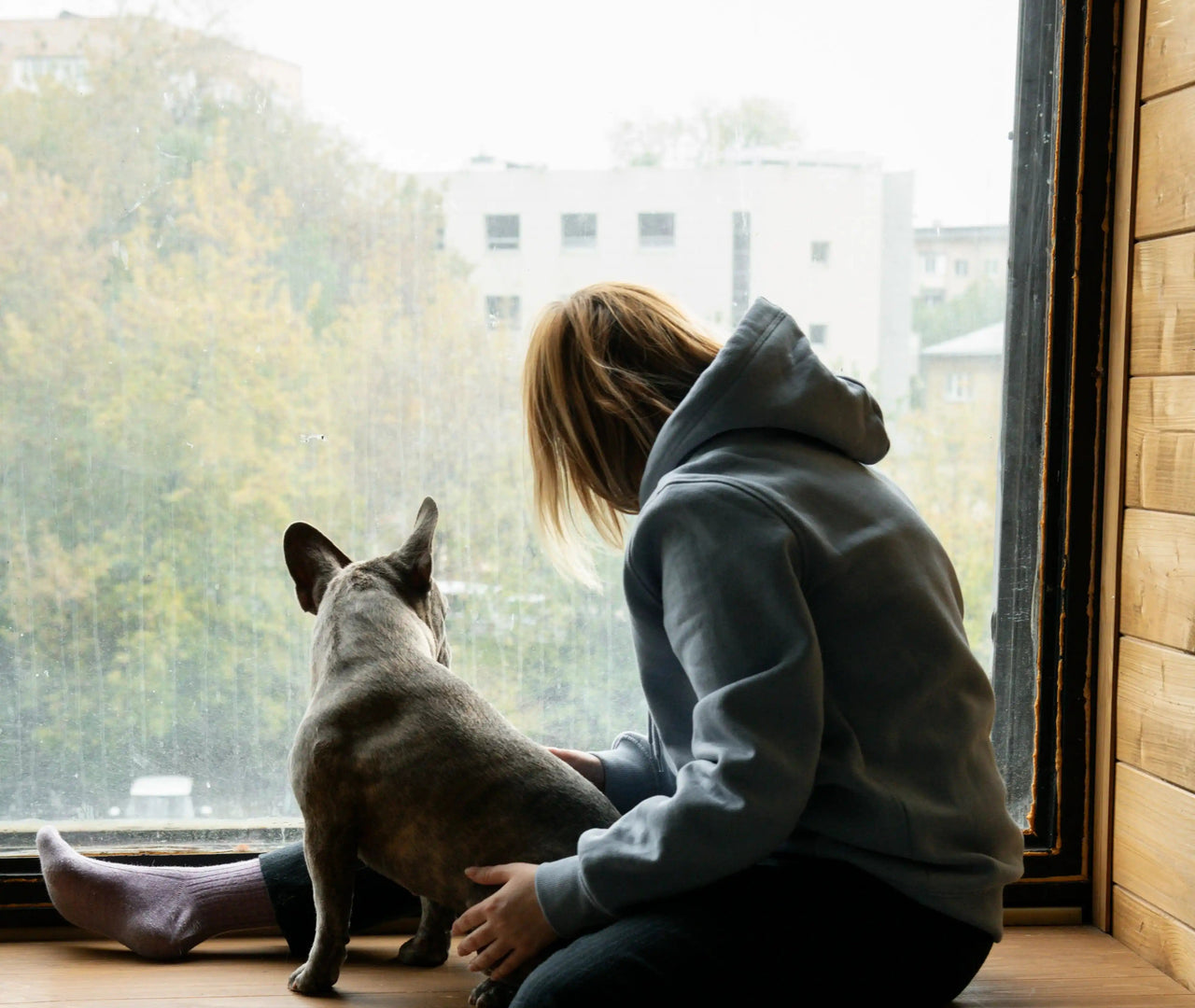 ¿Qué hacer con mi perro en los días de lluvia?