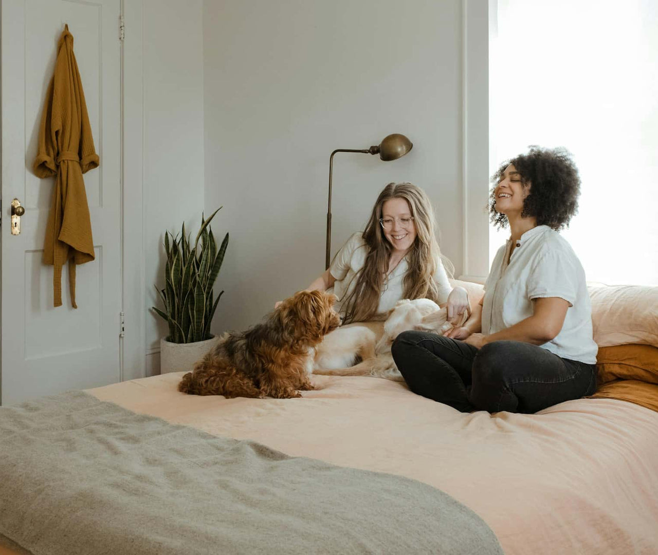 Recetas fáciles de comida casera para perros