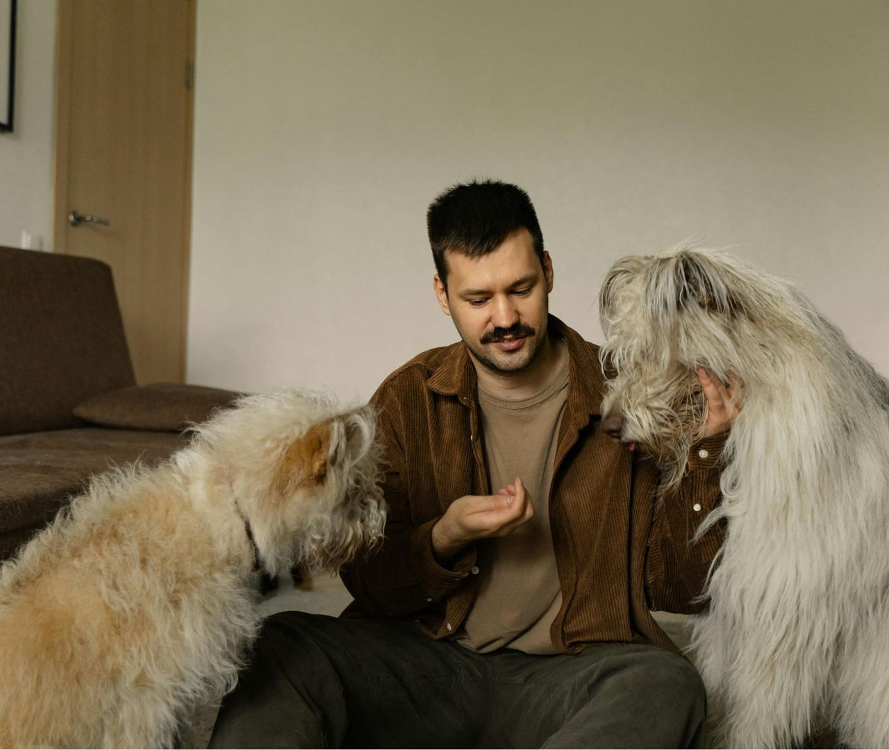 Calcio para perros: alimentos ricos y cuándo suplementar