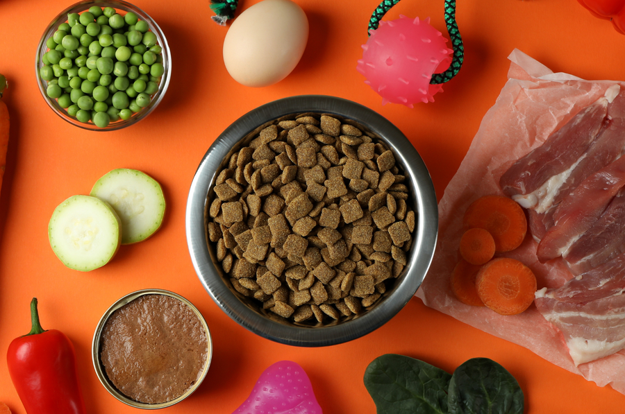 ¿Qué alimentos humanos son venenosos para los perros?