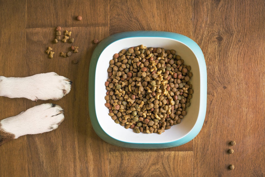 Cantidad de comida para perros