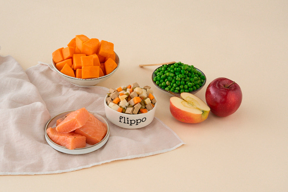 Ingredientes naturales y frescos de comida natural para perro Flippo