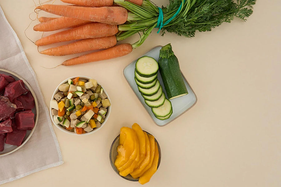 ingredientes frescos para hacer una receta de comida natural para perros 