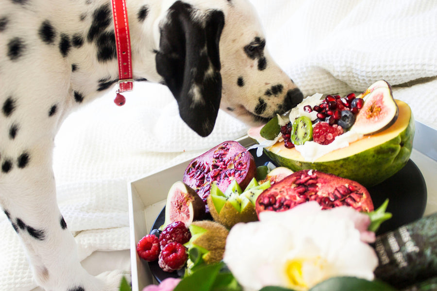 verduras para perros