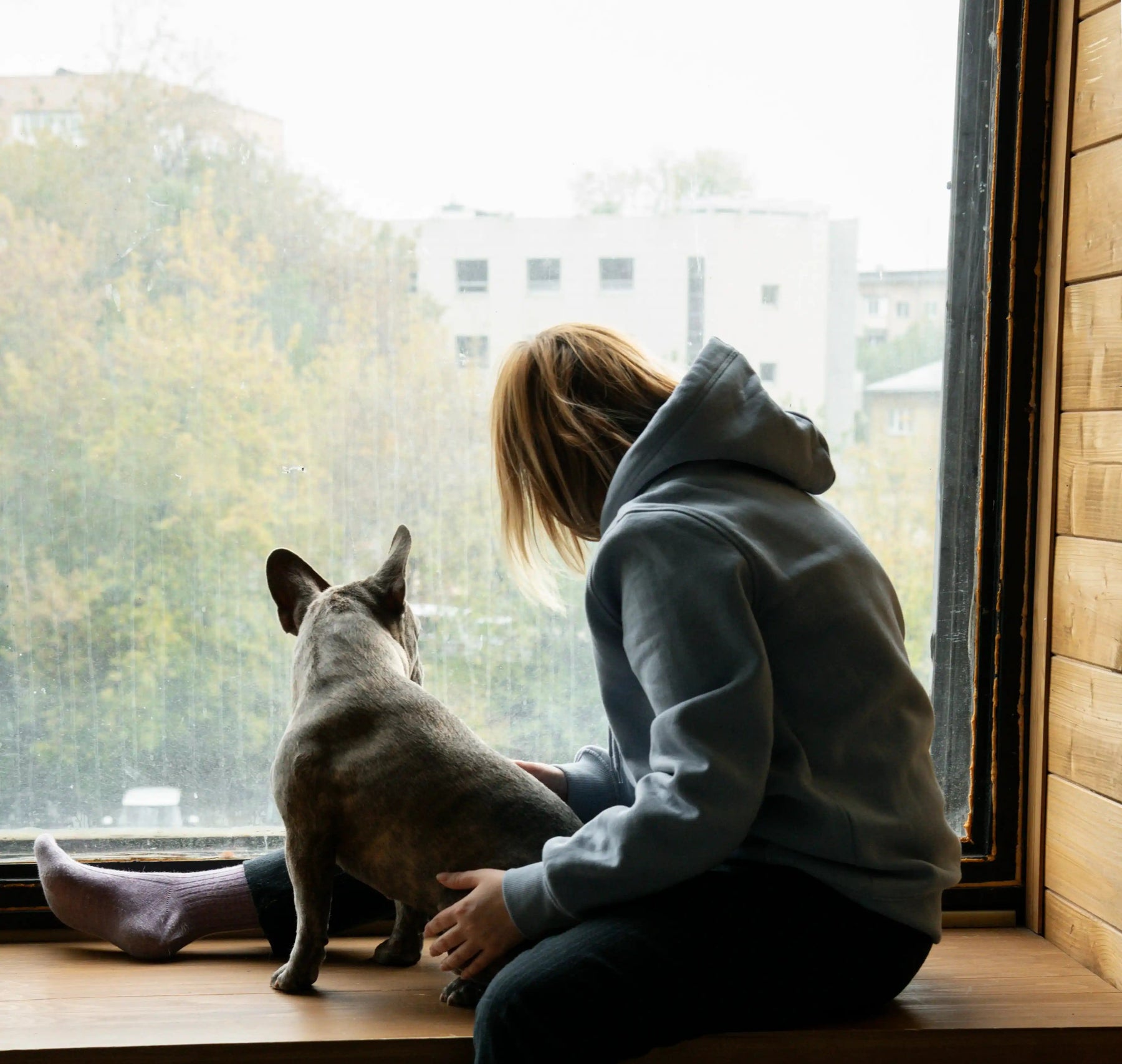 ¿Qué hacer con mi perro en los días de lluvia?