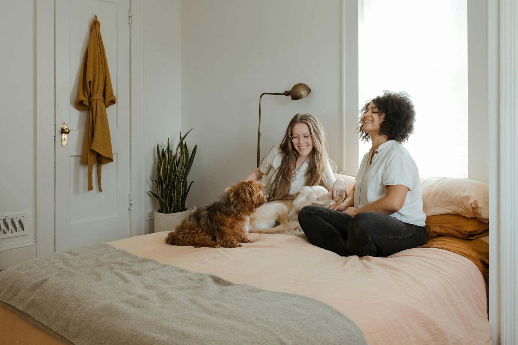 Recetas fáciles de comida casera para perros