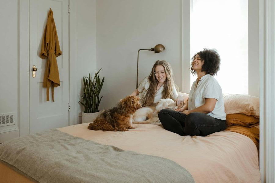 Recetas fáciles de comida casera para perros