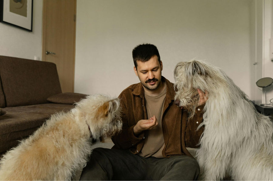 Calcio para perros: alimentos ricos y cuándo suplementar