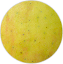 Manzana