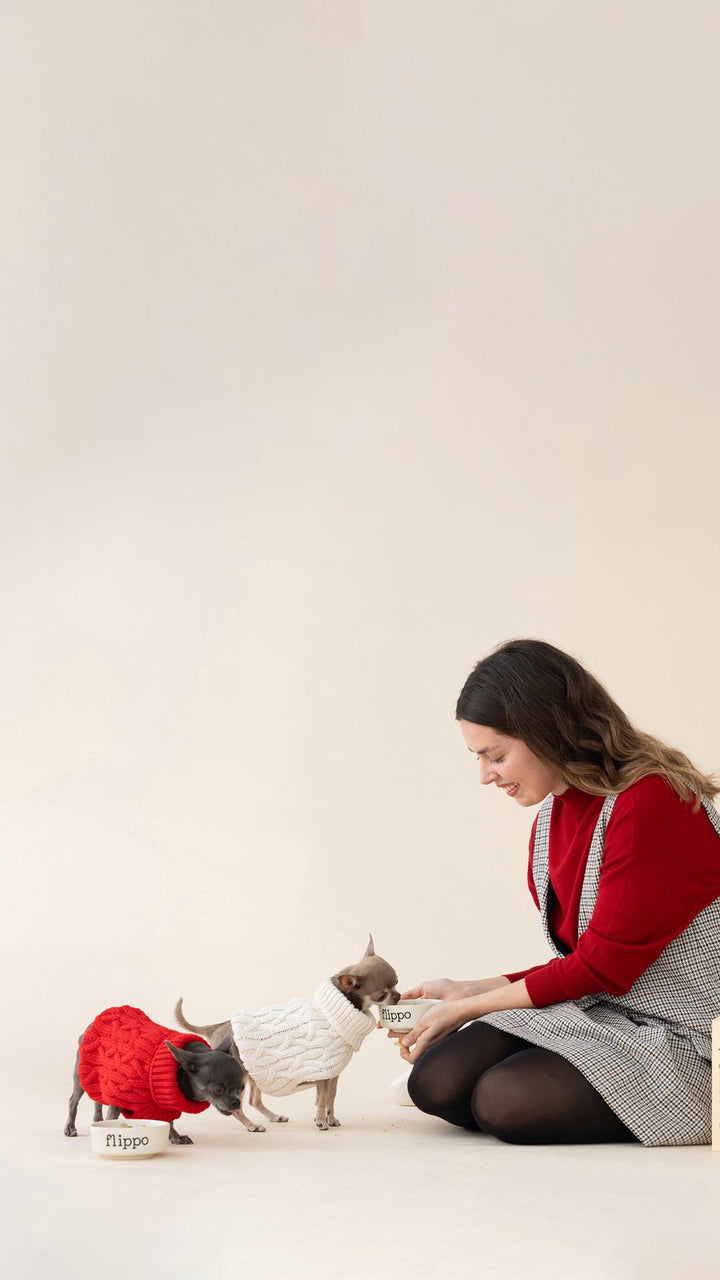 Flippo comida natural para perros