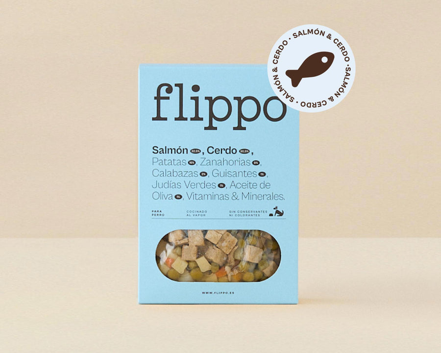 Portada de Flippo Salmón 300